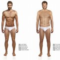 Ideal Body Men vs Women