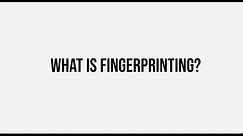 Digital Shadows: An Introduction to Web Fingerprinting