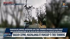 Baguio CEPMO, nagpalawag iti panggep ti tree trimming
