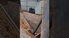 YMPJ1300 Wood chipper+hammer mill