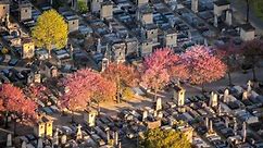 Famous cemeteries in Paris: Montparnasse
