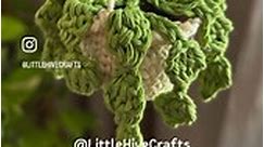 Mini Crochet Plant Hanger #crocheting #crochetlove