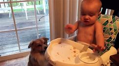 Cutest Babies Play With Dogs And Cats Compilation || Cool Peachy