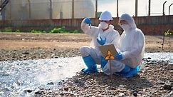 Team scientist in protective suit, mask and gloves collect sample of fish and dirty water from factory took a sample of waste water for analysis. Pollution and environment problems