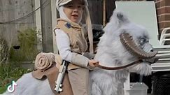 How do you make a tauntaun cosplay for a 3 year old? The answer is you make it as light as possible! Had some fun with a CapCut template #cosplay #starwarscosplay #starwars #starwarscosplayer #cosplayer #costume #lukeskywalker #markhamill #lukeskywalkercosplay #hoth #theempirestrikesback #starwarstheempirestrikesback #lucasfilm #homemadecostume #foambuild #bigbuild #capcut #trend #starwarsfamily #starwarsfans #cosplayfamily #familycosplay | Sumisu Cosplay