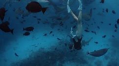 Sporty woman freediver dives and swimming with Nurse sharks and fishes in blue ocean in the Maldives.