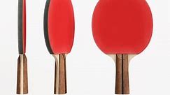 table tennis paddle 3D Model in Sports Equipment 3DExport
