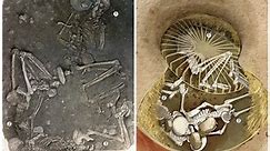 Prehistoric Ritual Sacrifice Practiced For At Least 2,000 Years Revealed