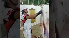 Cattle Slaughtering
