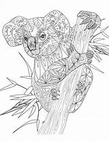 Coloring Pages Adult Mandala Wattle Printable Golden Koala Animaux Colouring Coloriage Book Rated Animals Sheets Color Colorier Designlooter Template Visit sketch template