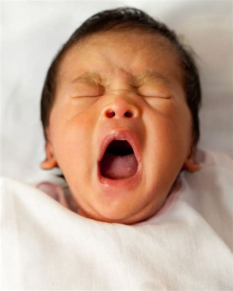 How Many Naps Should My Baby Have in a Day? — The Parent Rock