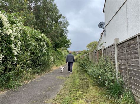 Jackbxo big tits after all, aesthetics is relative, plus