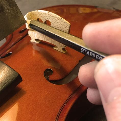 Parts Of A Violin Bridge at Deborah Frias blog