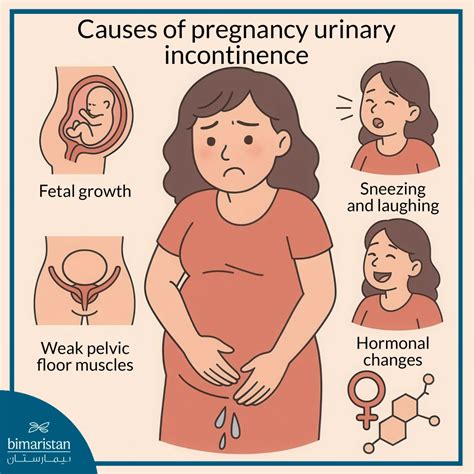 Pregnancy Urinary Incontinence: Relief Starts Here