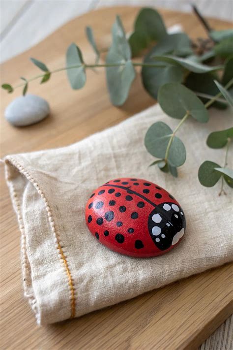 20+ Creative Ladybug Painted Rocks Ideas - Casolia