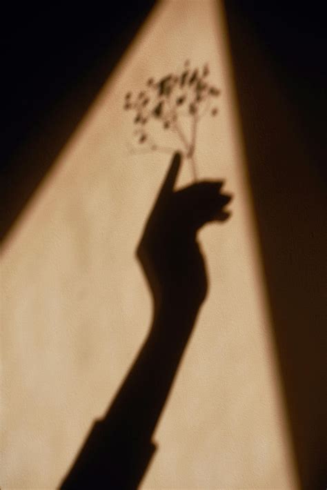 4.000+ melhores imagens de @ameliawolfee+onlyfans+leak · Download 100% grátis · Fotos ...