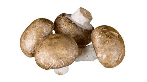 Mushrooms for Eczema: Effective Options for Relief and Management | Enticare Ear, Nose, and ...