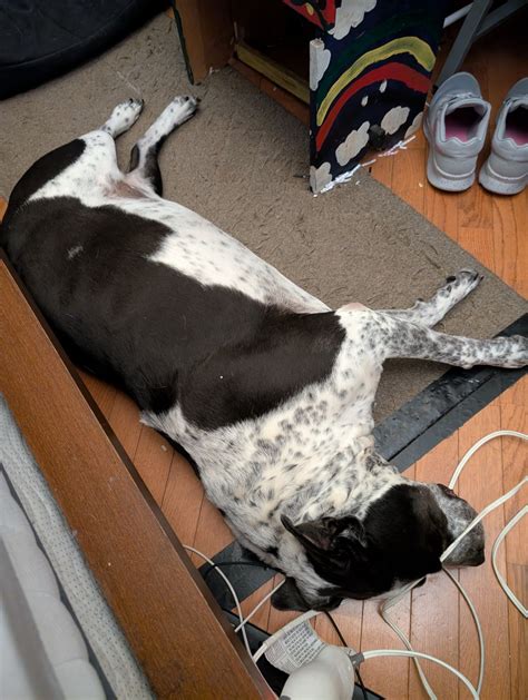 Journal Entry Friday March 6, 2026 – Edna's art Journal