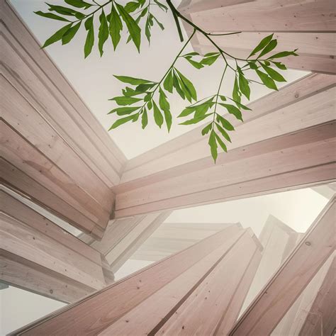 What Remediation Is Required for Child Workers? → Learn