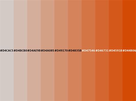 Color Palette 6 Colors