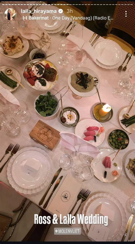 Lalla Hirayama and Ross McIlroy tie the knot in a multicultural Stellenbosch celebration | News24