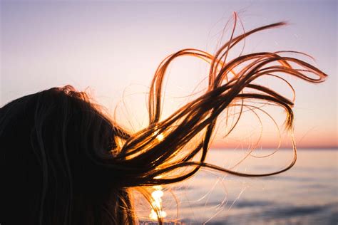 Researchers Finally Understand How Hair Truly Grows and This Could Change Baldness Treatments