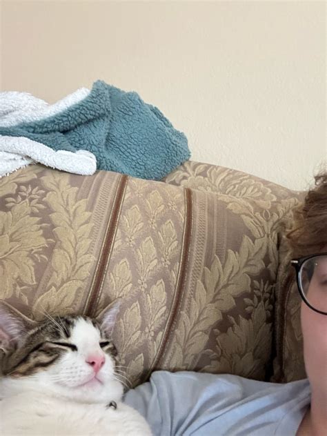 @myfavoritebrain on Tumblr