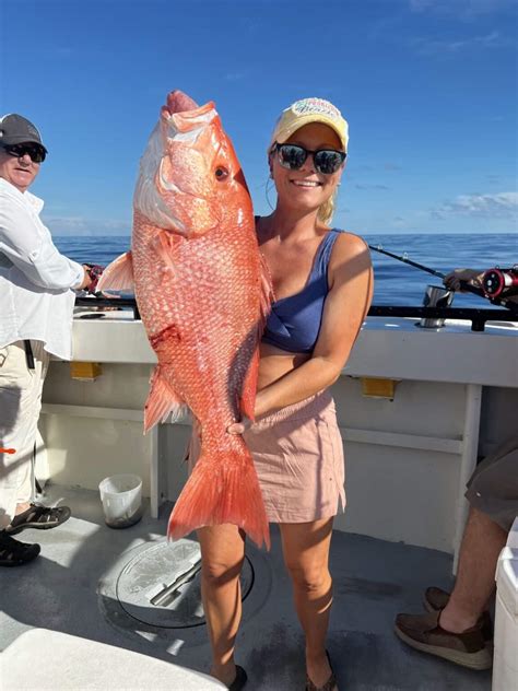 Red Snapper Season | Hubbards Marina | Deep Sea Fishing | Dolphin Watching Tours | John's Pass ...