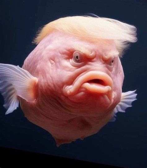 Pin by Radcliff on GuvMent | Really funny pictures, Funny pictures ...