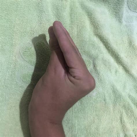 BONITA, NÃO FEIA! (Lyrics in English) - Pocalia