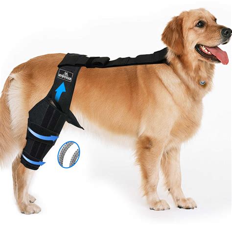 Adjustable Dog Leg Brace Universal for Limbs with Extra Straps, Dog ...