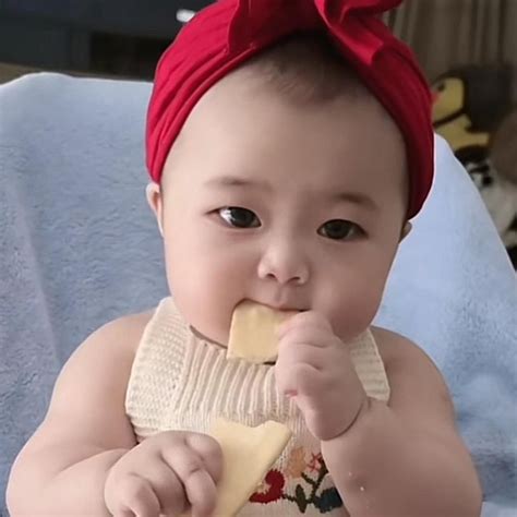 新视 - 视频号数据分析工具