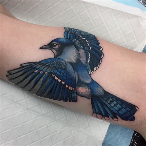 Blue Jay Tattoo Images at Jason Criner blog