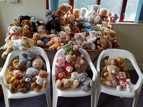 Cheap 100 teddy bears Flash Sales