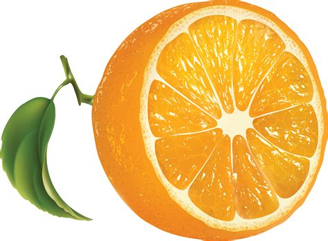 Free Printable Clip Art Of Orange