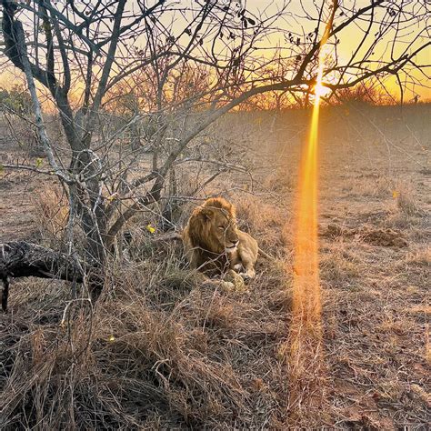 Life:Styled. Luxury Travel Concierge | Los Angeles CA