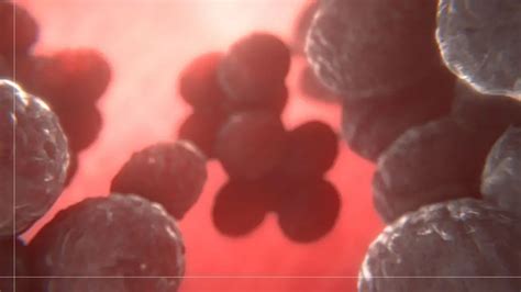 HOW HEPATITIS C AFFECTS YOUR LIVER - Animation Studio & Video Production Company Washington DC