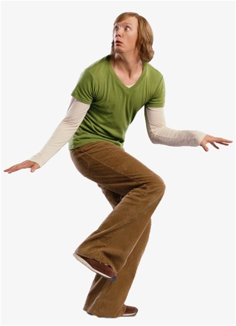 Shaggy Rogers - Shaggy Scooby Doo Film Transparent PNG - 929x1195 ...