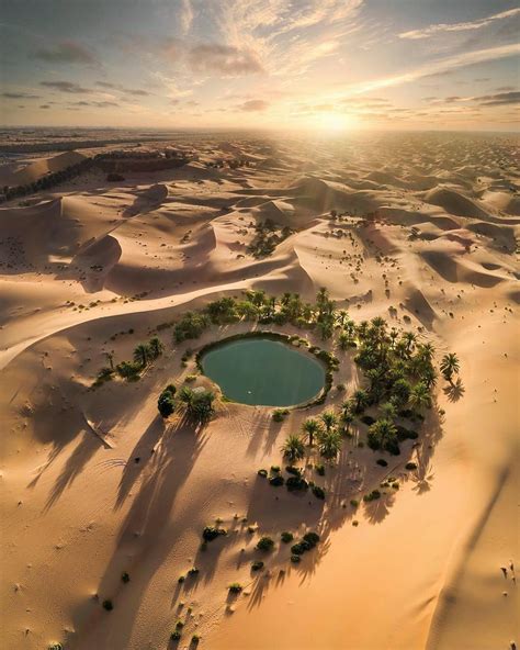 Beautiful Desert Oasis