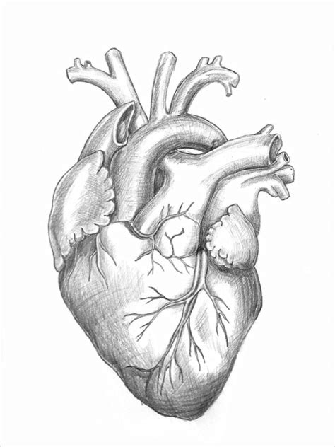 Easy Heart Drawings In Pencil | ProDrawingClub - Pencil Art Drawing
