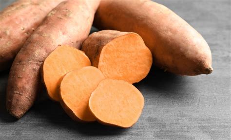 Sweet Potato - Wikifarmer