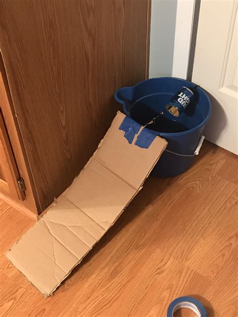 Diy Rat Trap