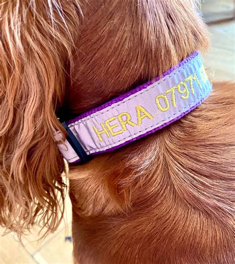Reflective Personalised Dog Collar Customized Puppy Lasered Collar Free ...
