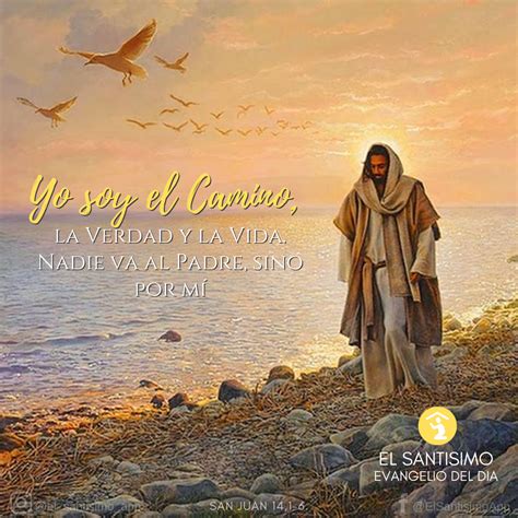 Evangelio Segun San Juan 14 1 6 - Estudiar