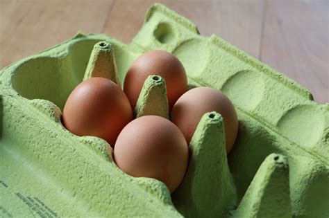 Does Cooking Eggs Kill Salmonella Bacteria at Dale Mack blog