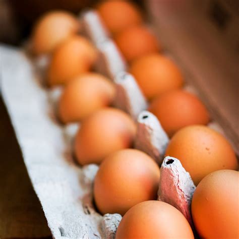 Pasture Raised Eggs, Soy Free, Non GMO, Corn Free, Prairie Farmstead ...