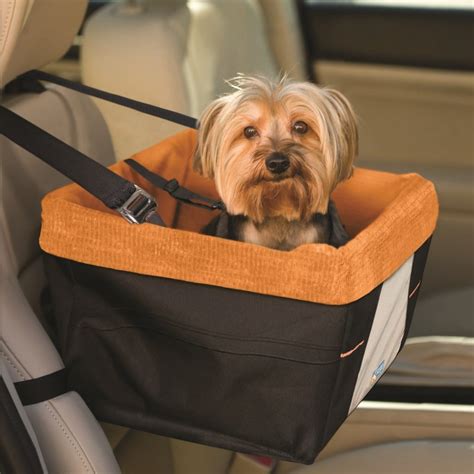 Large Dog Seat Belt For Car at Clair Azevedo blog