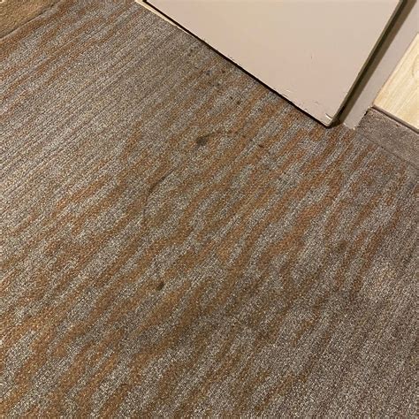 AMERICAN INN OF BETHESDA - Prices & Hotel Reviews (MD)