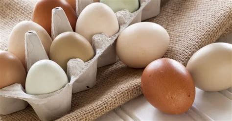 How to extend the shelf life of eggs: a simple way | OBOZ.UA