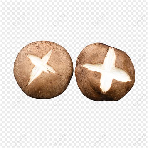 Two Mushrooms PNG Images With Transparent Background | Free Download On ...